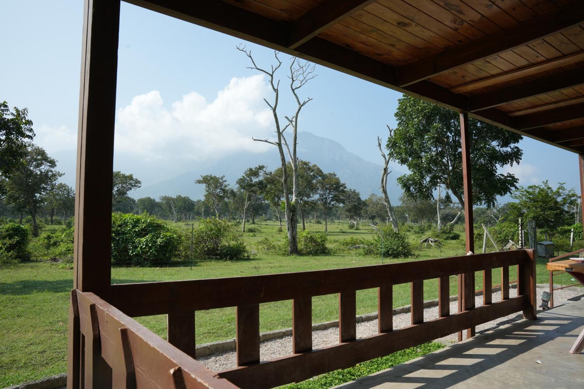 Labdhi Resorts Masinagudi- Stag Groups Not Allowed Zewnętrze zdjęcie