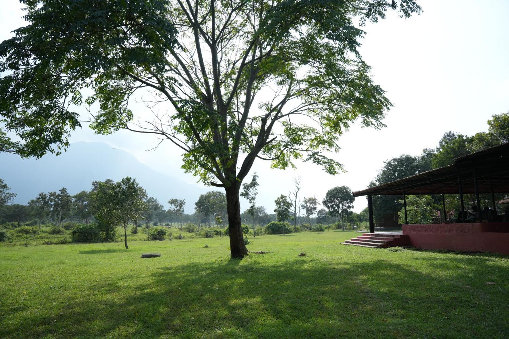 Labdhi Resorts Masinagudi- Stag Groups Not Allowed Zewnętrze zdjęcie